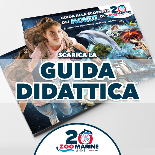 Guida Didattica Conoscenza Giardino Zoologico Zoomarine Roma Gita Scolastica